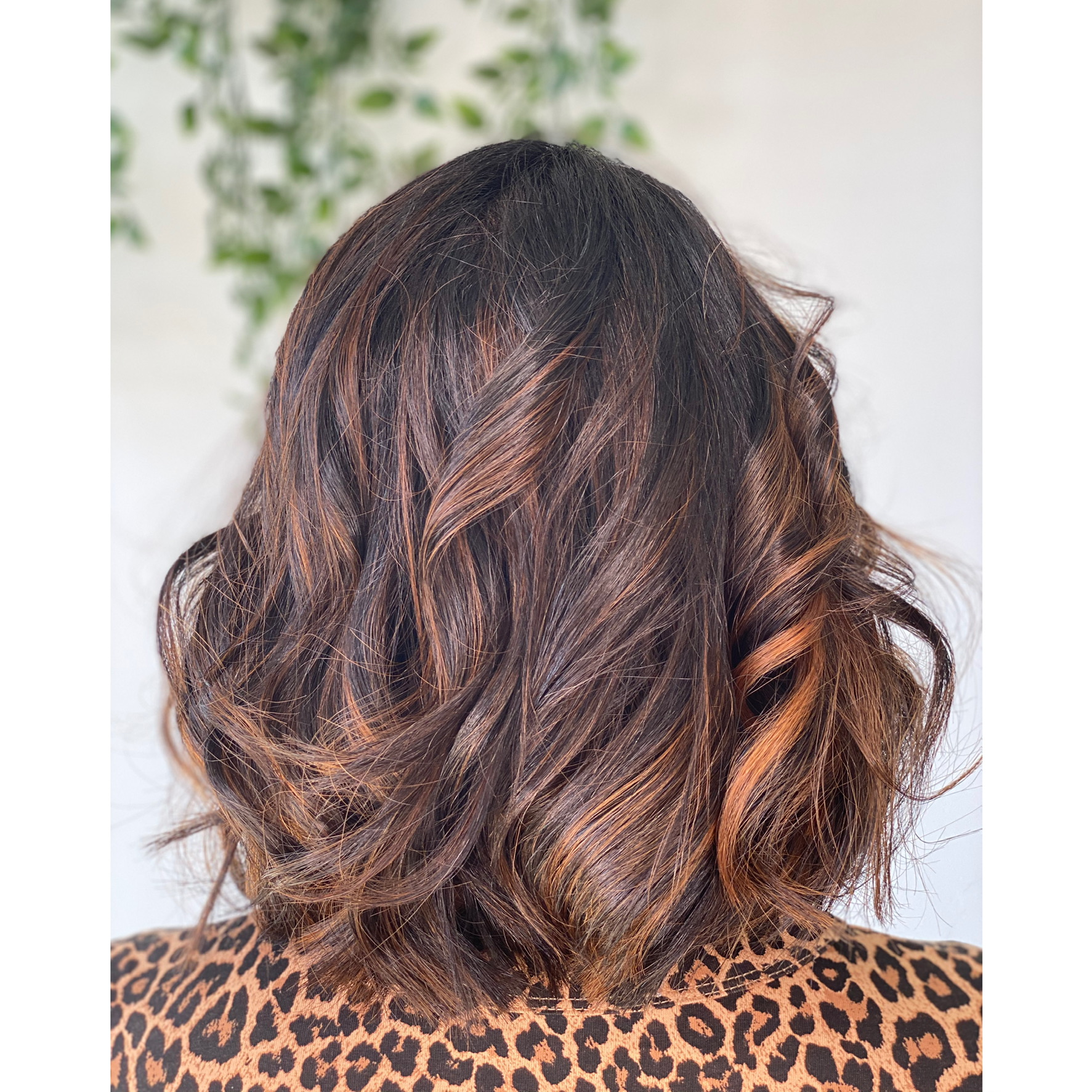 Cabelo escuro, curto e encaracolado